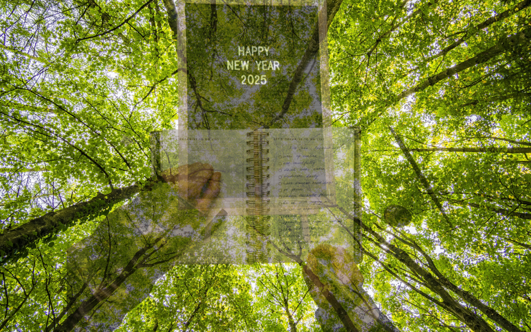 New Year, New Perspectives in Holistic Literacy Empowerment: